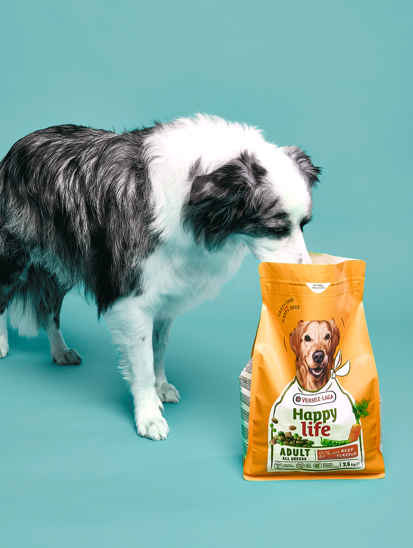 Quatre Mains package design - 