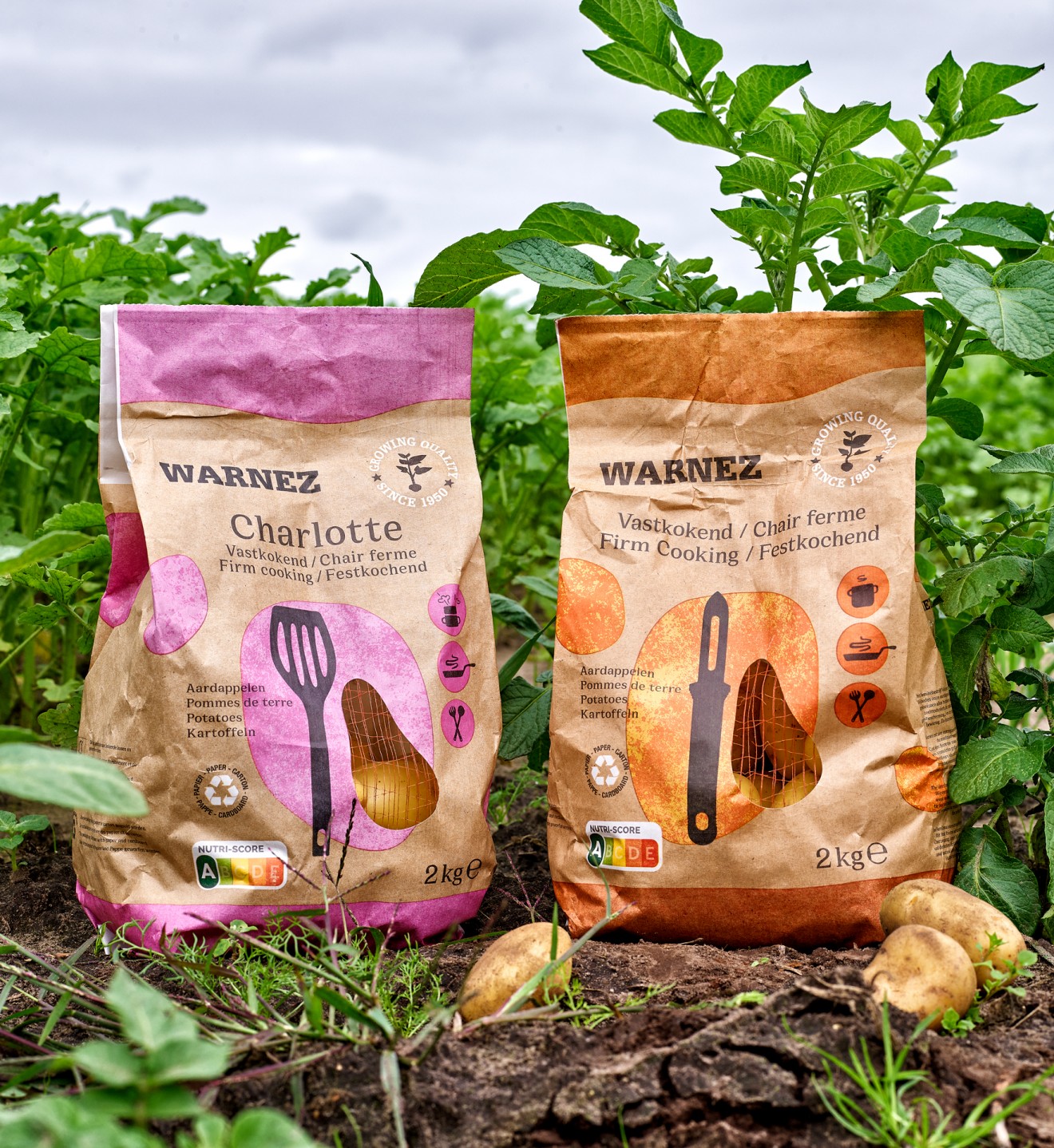 Quatre Mains package design - Packaging design for Warnez Potatoes
