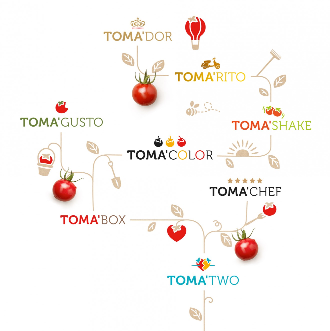 Quatre Mains package design - toma, logo's, branding, subranges