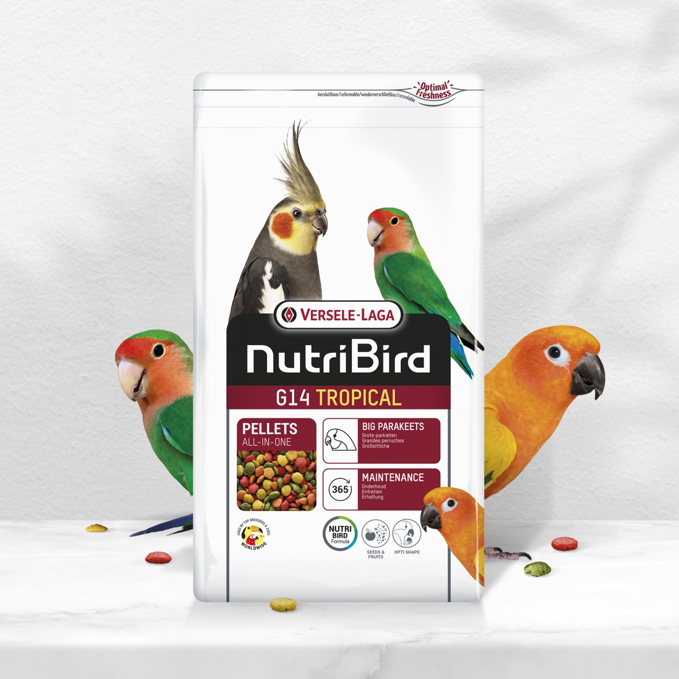 Quatre Mains package design - branding, bag, 
