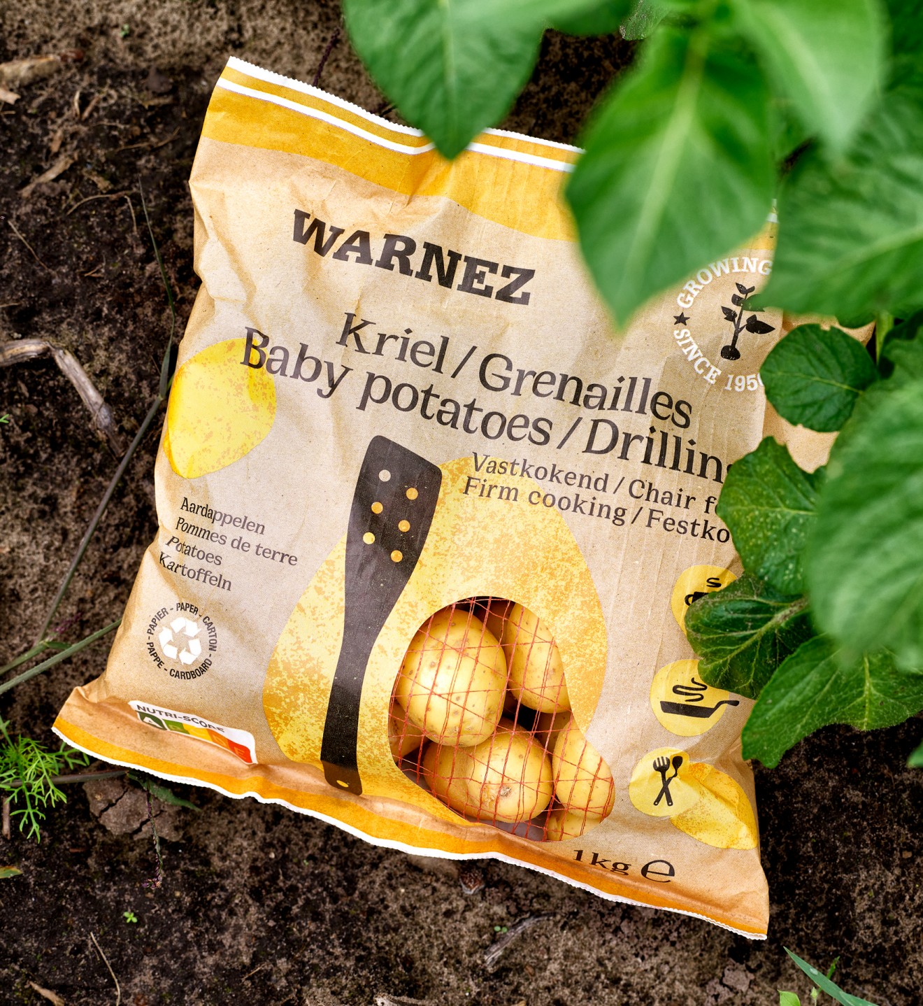 Quatre Mains package design - Packaging design for Warnez Potatoes