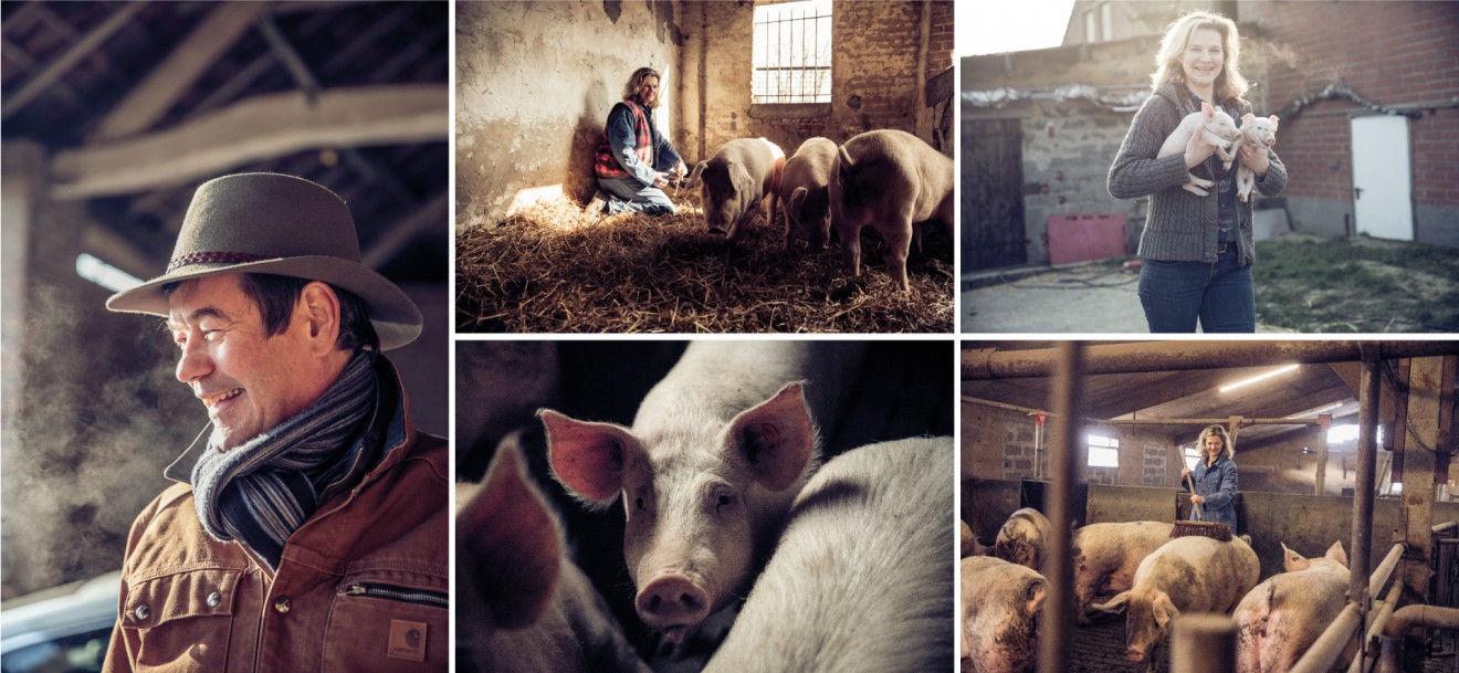 Quatre Mains package design - noyen, focus advertising, farm