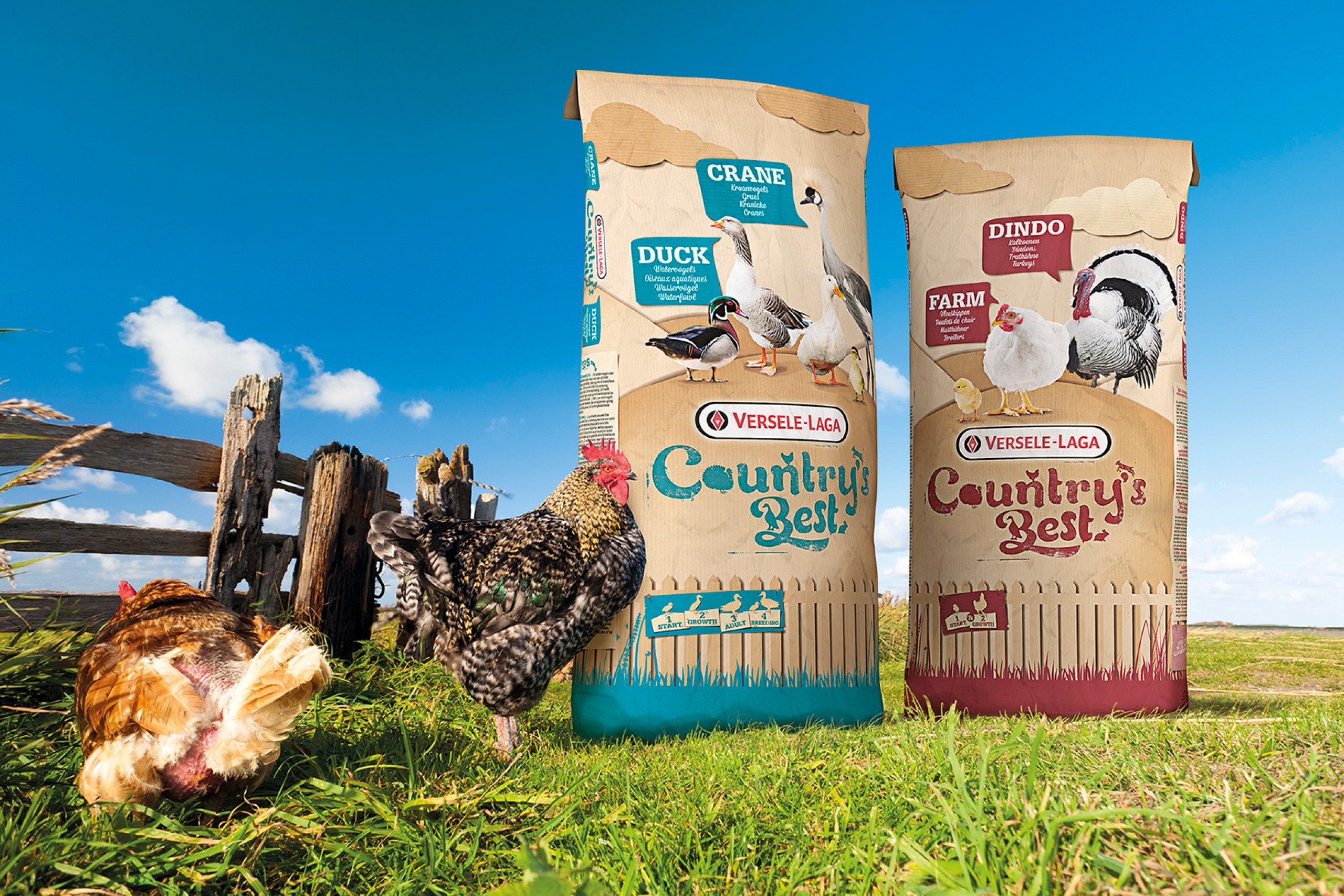 Quatre Mains package design - Package design quatre mains, country's best, versele laga